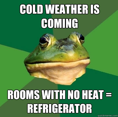 Cold weather is coming rooms with no heat = refrigerator  Foul Bachelor Frog