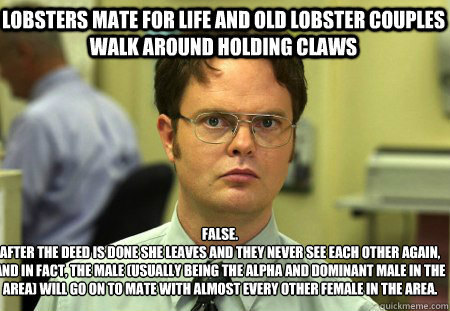 Lobsters mate for life and old lobster couples walk around holding claws False.
after the deed is done she leaves and they never see each other again, and in fact, the male (usually being the alpha and dominant male in the area) will go on to mate with al - Lobsters mate for life and old lobster couples walk around holding claws False.
after the deed is done she leaves and they never see each other again, and in fact, the male (usually being the alpha and dominant male in the area) will go on to mate with al  Schrute