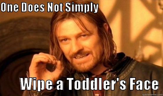ONE DOES NOT SIMPLY                                                                                                WIPE A TODDLER'S FACE Boromir