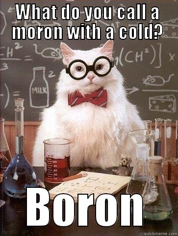 WHAT DO YOU CALL A MORON WITH A COLD? BORON Chemistry Cat
