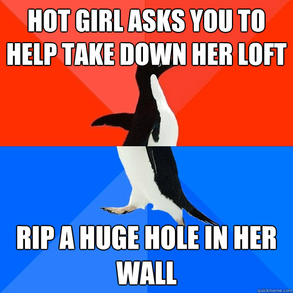 Hot girl asks you to help take down her loft rip a huge hole in her wall  Socially Awesome Awkward Penguin