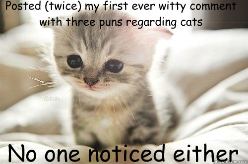 Posted (twice) my first ever witty comment with three puns regarding cats No one noticed either  Sad Kitten