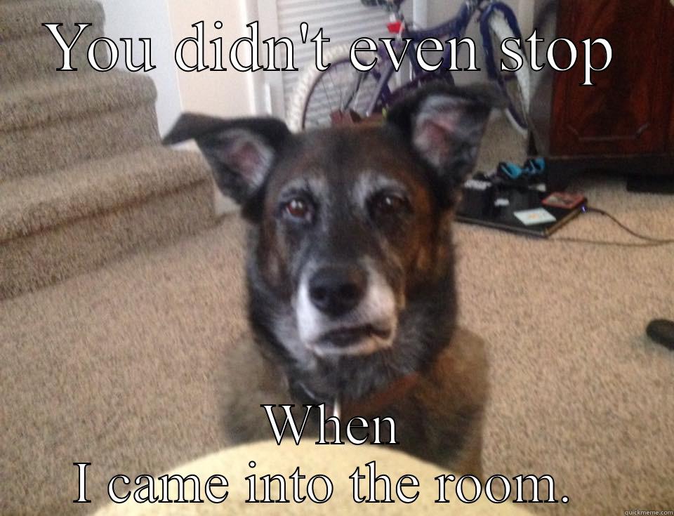 YOU DIDN'T EVEN STOP WHEN I CAME INTO THE ROOM.  Misc
