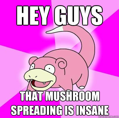 Hey guys That mushroom spreading is insane  Slowpoke