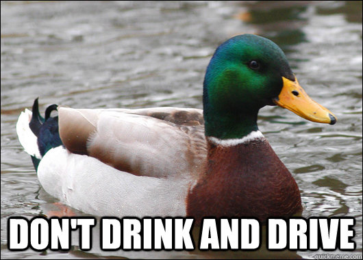  Don't drink and drive -  Don't drink and drive  Actual Advice Mallard