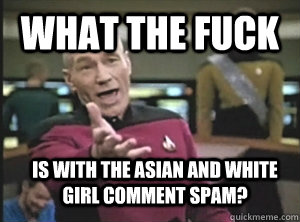 What the fuck IS WITH THE ASIAN AND WHITE GIRL COMMENT SPAM?  Annoyed Picard