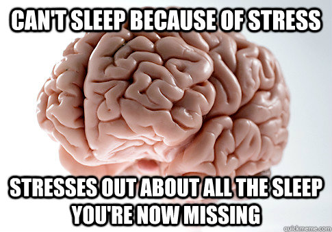 Can't sleep because of stress stresses out about all the sleep you're now missing  Scumbag Brain