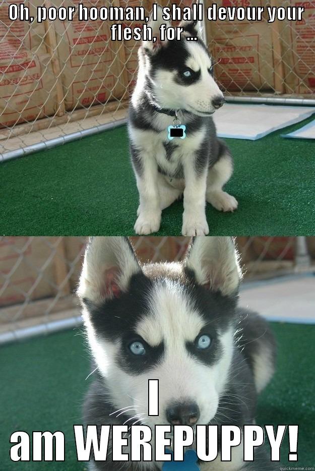 OH, POOR HOOMAN, I SHALL DEVOUR YOUR FLESH, FOR ...  I AM WEREPUPPY! Insanity puppy
