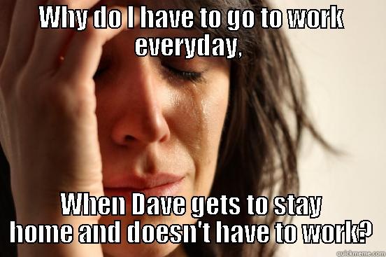 WHY DO I HAVE TO GO TO WORK EVERYDAY,  WHEN DAVE GETS TO STAY HOME AND DOESN'T HAVE TO WORK? First World Problems