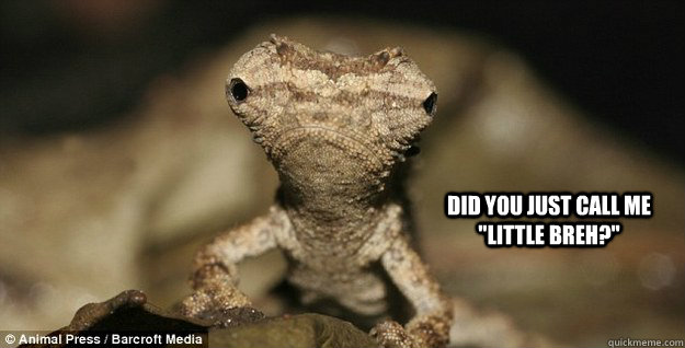 did you just call me 