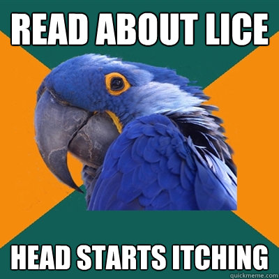 read about lice head starts itching  Paranoid Parrot