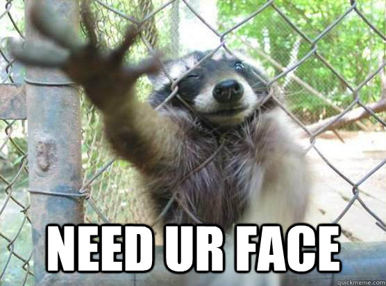  NEED UR FACE -  NEED UR FACE  Angry Raccoon
