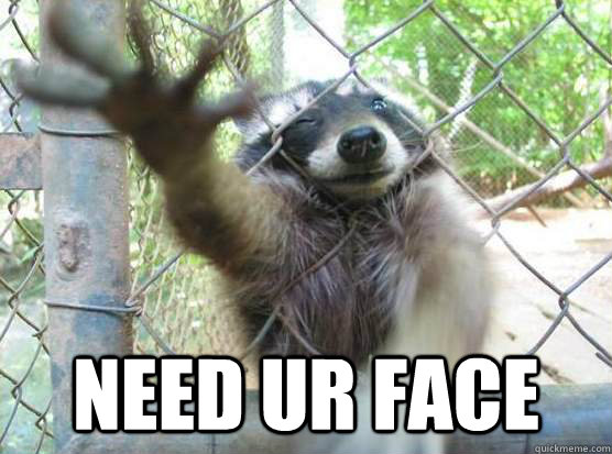  NEED UR FACE  Angry Raccoon
