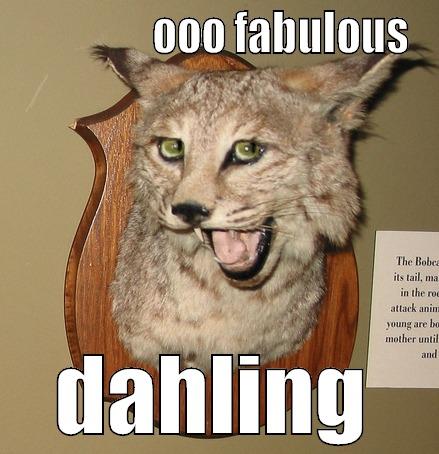                 OOO FABULOUS DAHLING Misc