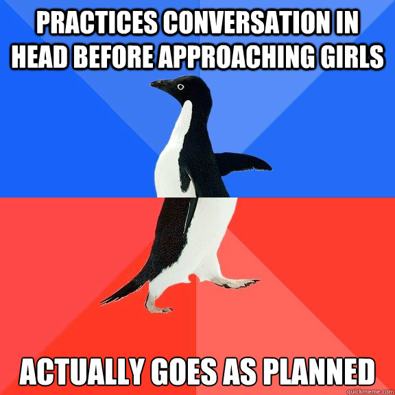 Practices conversation in head before approaching girls Actually goes as planned  Socially Awkward Awesome Penguin