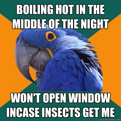 boiling hot in the middle of the night won't open window incase insects get me  Paranoid Parrot