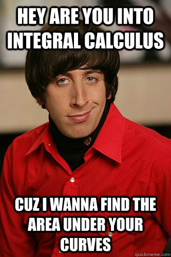 hey are you into integral calculus cuz i wanna find the area under your curves  