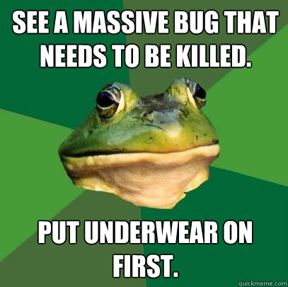 See a massive bug that needs to be killed. Put underwear on first.   Foul Bachelor Frog
