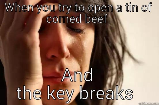 WHEN YOU TRY TO OPEN A TIN OF CORNED BEEF  AND THE KEY BREAKS  First World Problems