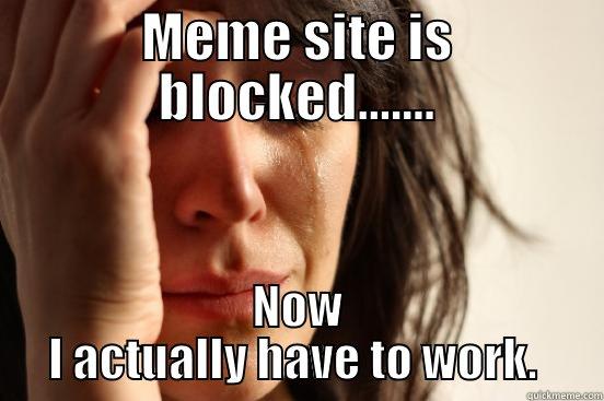 MEME SITE IS BLOCKED....... NOW I ACTUALLY HAVE TO WORK.  First World Problems