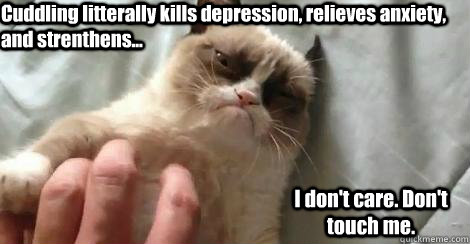 Cuddling litterally kills depression, relieves anxiety, and strenthens... I don't care. Don't touch me.  