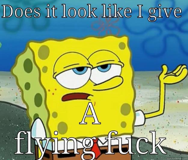 Does it look like I give a fuck - DOES IT LOOK LIKE I GIVE  A FLYING FUCK Tough Spongebob