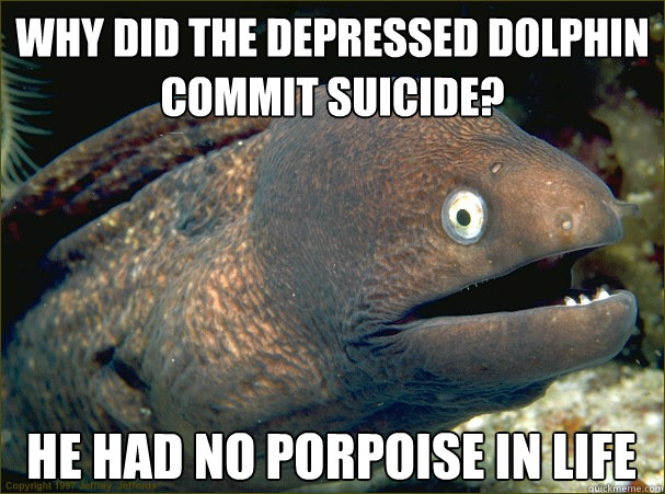 Why did the depressed dolphin commit suicide? He had no porpoise in life  Bad Joke Eel