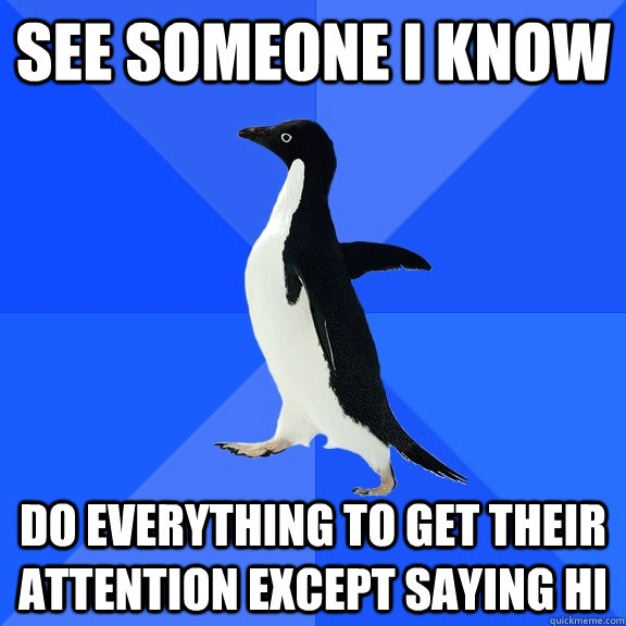 See someone i know do everything to get their attention except saying hi  Socially Awkward Penguin