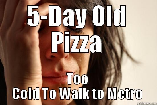 5-DAY OLD PIZZA TOO COLD TO WALK TO METRO First World Problems