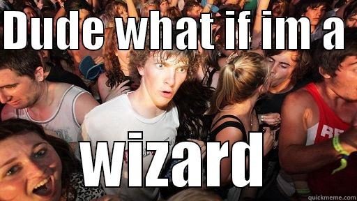 DUDE WHAT IF IM A  WIZARD Sudden Clarity Clarence