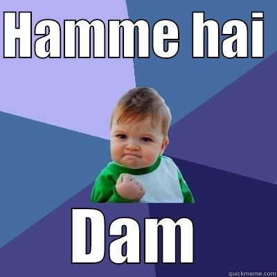 HAMME HAI  DAM Success Kid