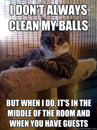 i don't always clean my balls but when i do, it's in the middle of the room and when you have guests  The Most Interesting Cat in the World