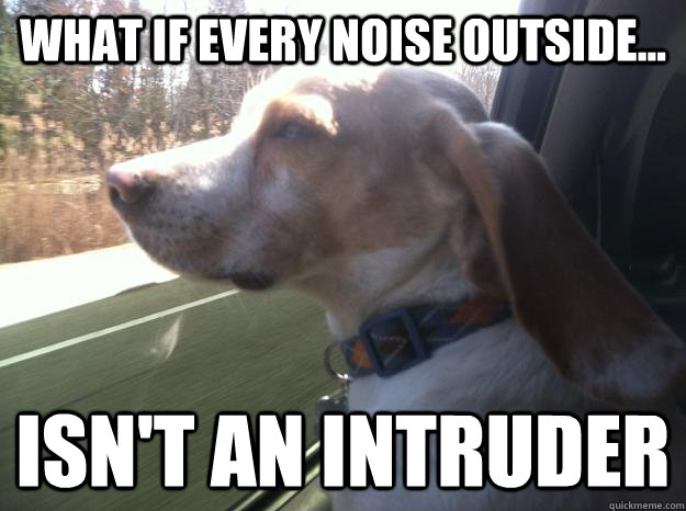 What if every noise outside... isn't an intruder   Pondering Pup