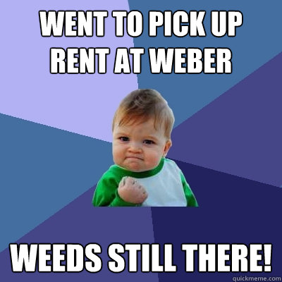 Went to pick up rent at Weber Weeds still there!  Success Kid