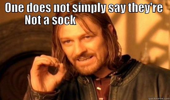 ONE DOES NOT SIMPLY SAY THEY'RE NOT A SOCK                                    Boromir