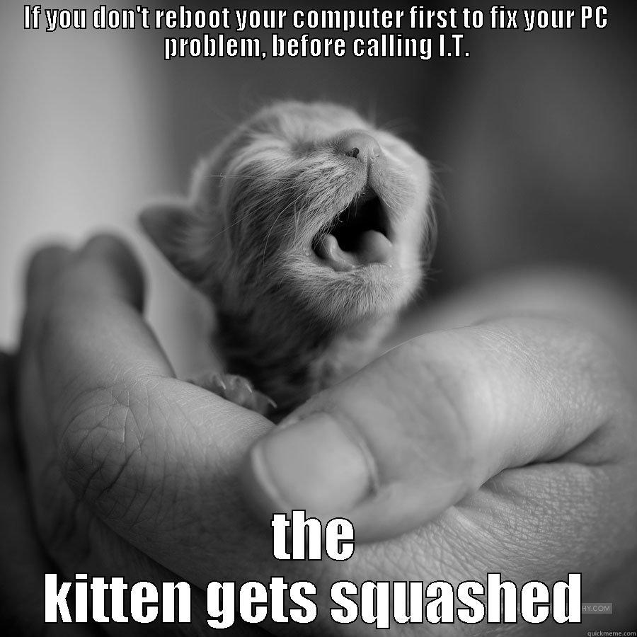 Kitten crush quickmeme