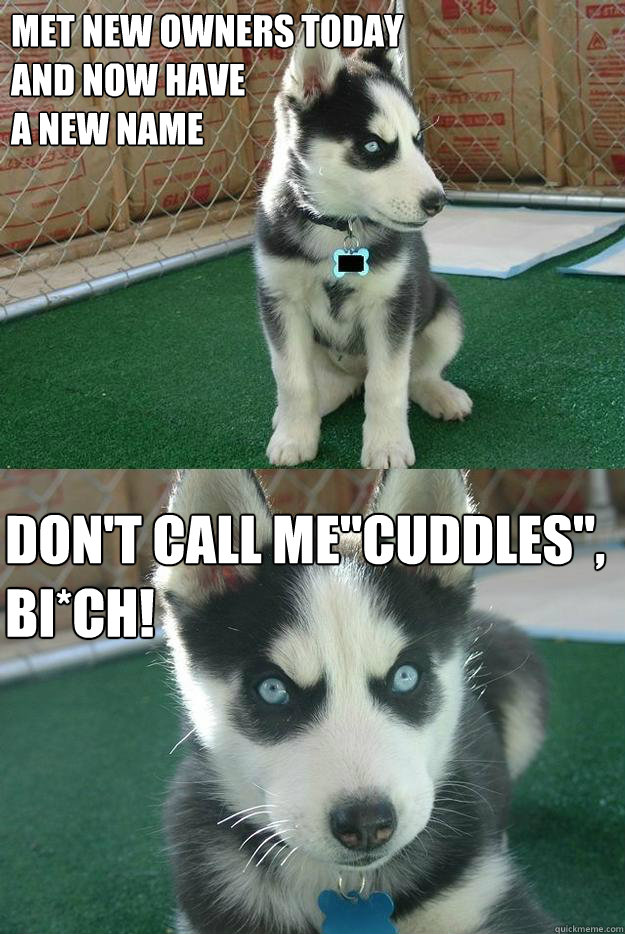 Met New owners today 
and now have 
a new name Don't call me