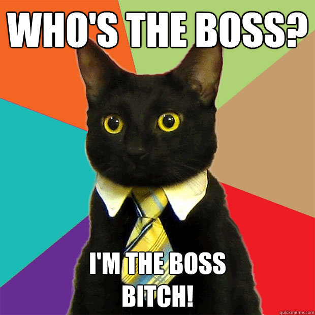 Who's the boss? I'm the boss 
bitch!  - Who's the boss? I'm the boss 
bitch!   Business Cat