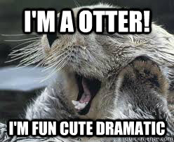 I'm a otter! I'm fun cute dramatic  otter fun