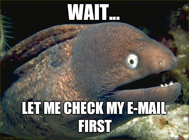 Wait... Let me check my e-mail first  Caught in the act Moray