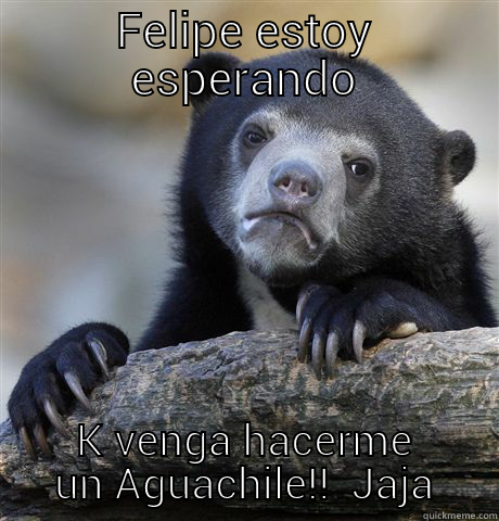 FELIPE ESTOY ESPERANDO K VENGA HACERME UN AGUACHILE!!  JAJA Confession Bear
