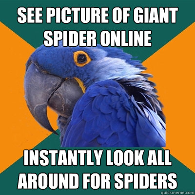 See picture of giant spider online instantly look all around for spiders  Paranoid Parrot