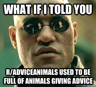 What if i told you r/adviceanimals used to be full of animals giving advice  WhatIfIToldYouBing