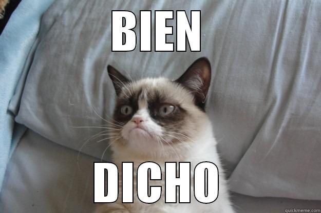 BIEN DICHO Grumpy Cat