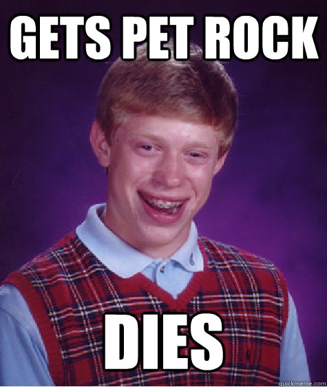 Gets Pet rock Dies   Bad Luck Brian