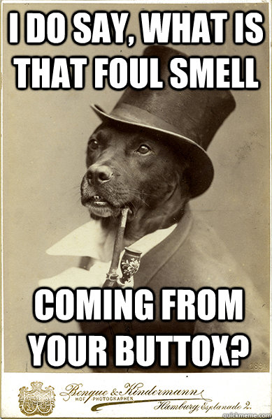 i do say, what is that foul smell coming from your buttox?  Old Money Dog