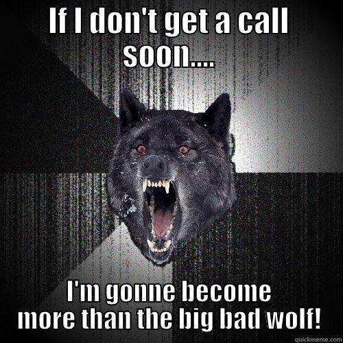 IF I DON'T GET A CALL SOON.... I'M GONNE BECOME MORE THAN THE BIG BAD WOLF! Insanity Wolf