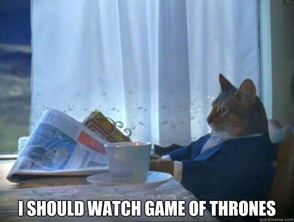  I should watch game of thrones -  I should watch game of thrones  morning realization newspaper cat meme