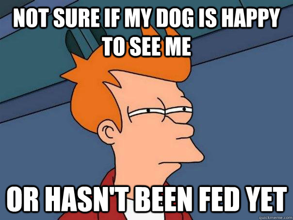 Not sure if my dog is happy to see me Or hasn't been fed yet  Futurama Fry