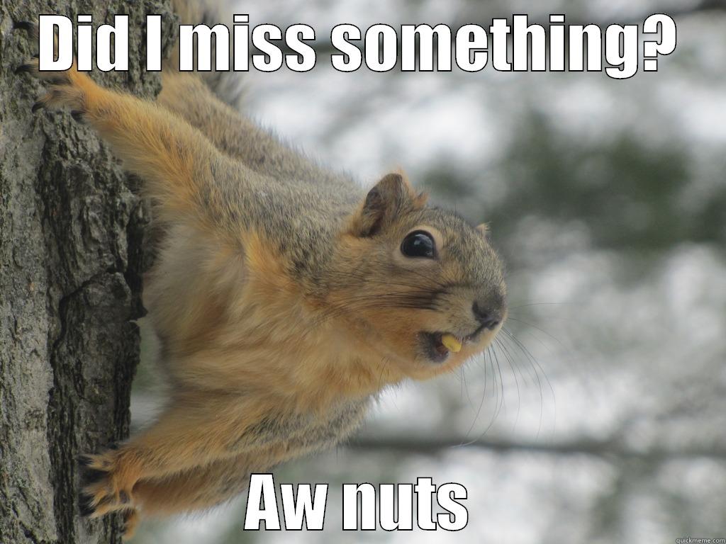 DID I MISS SOMETHING? AW NUTS Misc